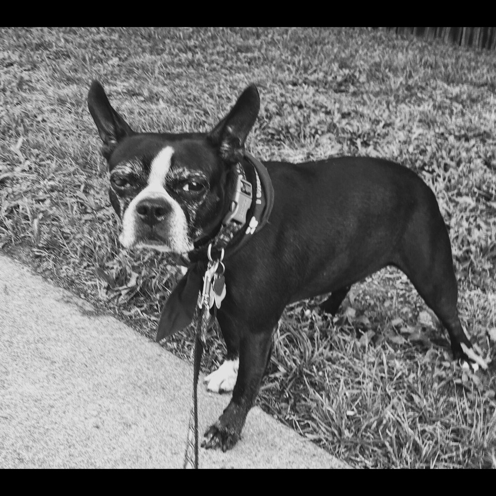 Meet your Posher, Maddie